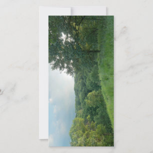 Pine Bend Bluff Overlooking Valley Woodlands