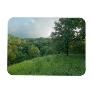 Pine Bend Bluff Overlooking Valley Woodlands Magnet