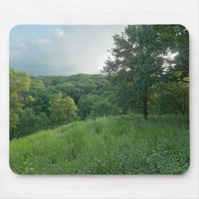 Pine Bend Bluff Overlooking Valley Woodlands Mouse Pad (Front)