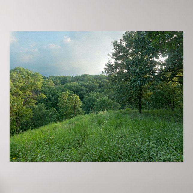 Pine Bend Bluff Overlooking Valley Woodlands Poster (Front)