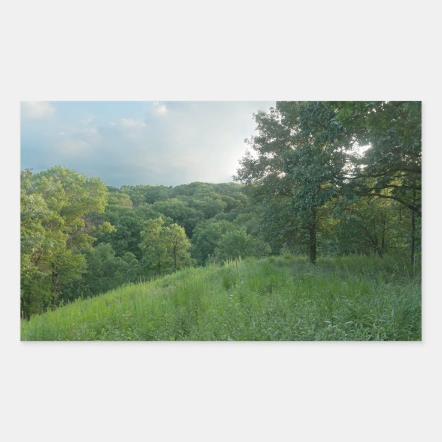 Pine Bend Bluff Overlooking Valley Woodlands Sticker (Front)