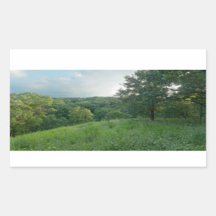 Pine Bend Bluff Overlooking Valley Woodlands Sticker