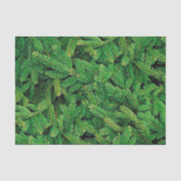 Pine Blanket Tissue Paper