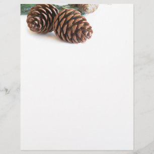 Pine branch and cones