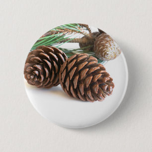 Pine branch and cones 2 inch round button