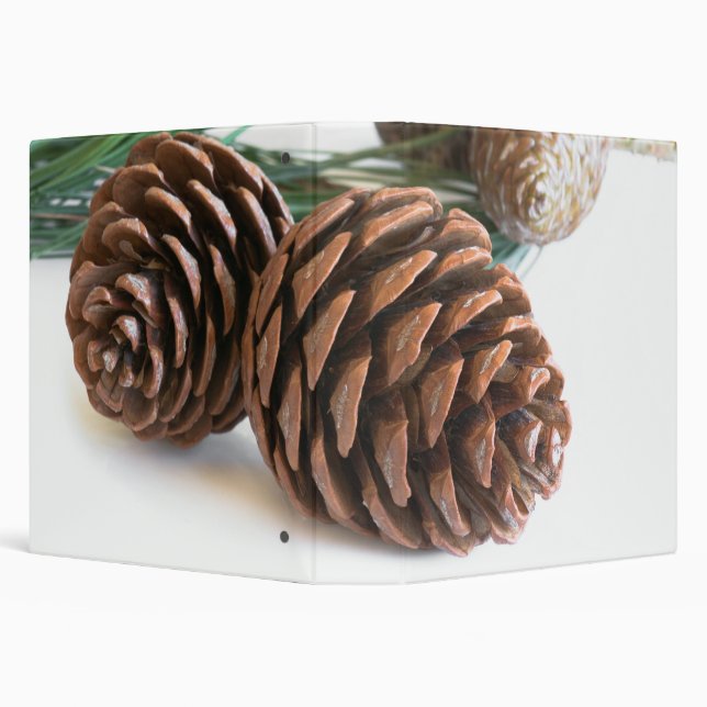 Pine branch and cones binder (Background)