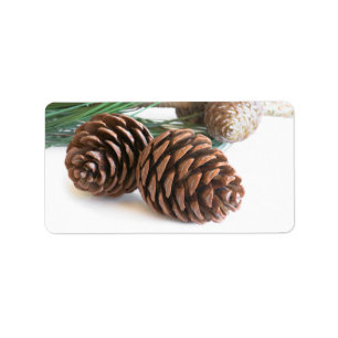 Pine branch and cones label