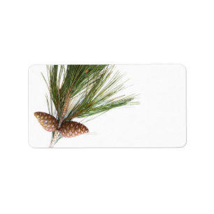 Pine branch and cones label