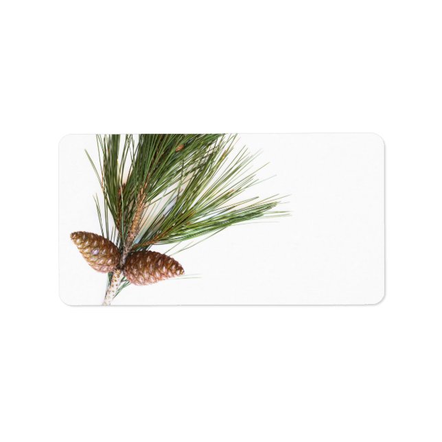 Pine branch and cones label (Front)