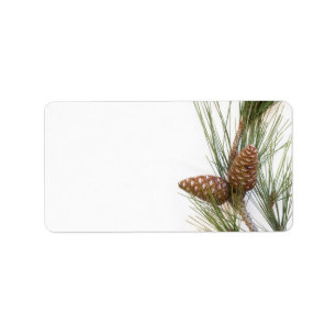 Pine branch and cones label