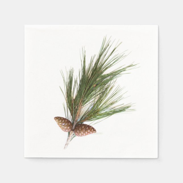 Pine branch and cones napkin (Front)