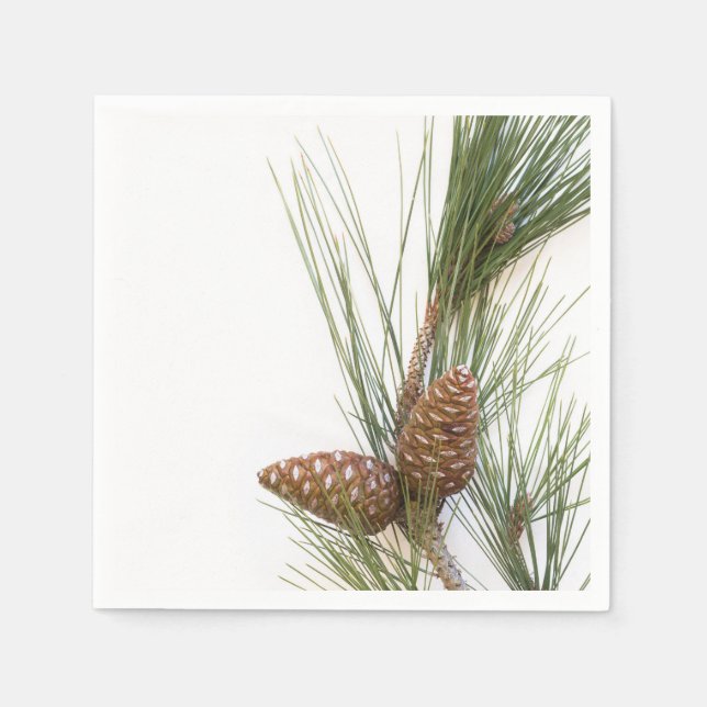 Pine branch and cones napkin (Front)