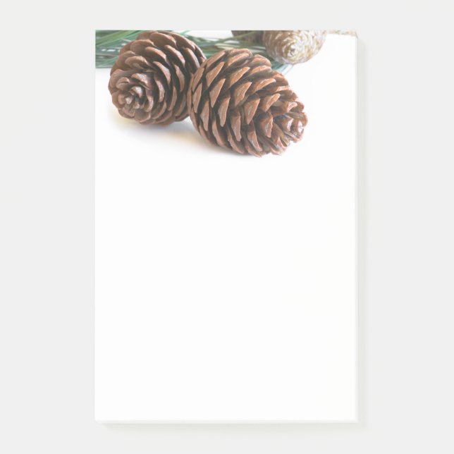 Pine branch and cones post-it notes (Front)