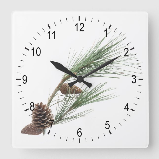 Pine branch with the cones square wall clock (Front)