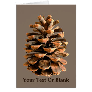 Pine Cone