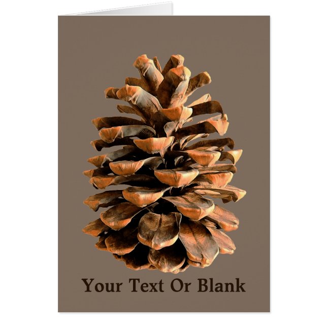 Pine Cone (Front)