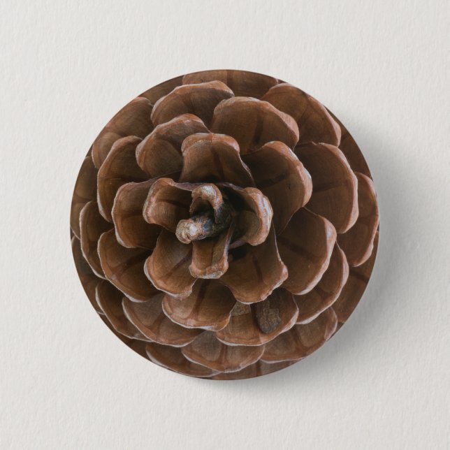 Pine cone 2 inch round button (Front)