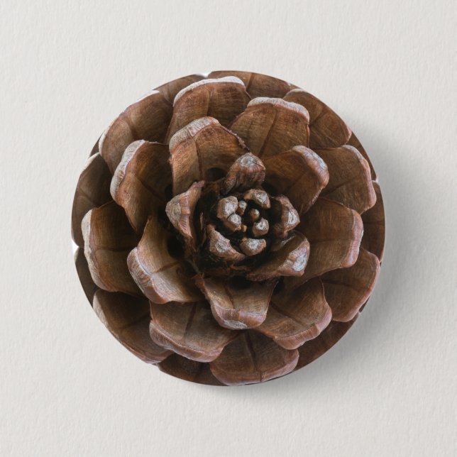 Pine cone 2 inch round button (Front)