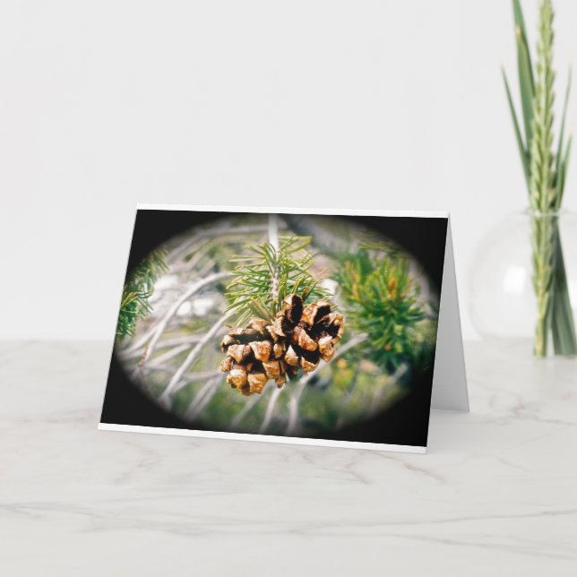 Pine Cone All-Occasion Greeting Card (Front)