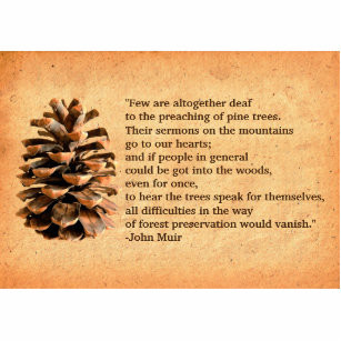 Pine Cone And John Muir Quote Photo Sculpture Magnet