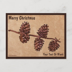 Pine Cone Branch on Old Paper Postcard
