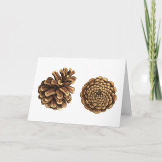 Pine Cone Card