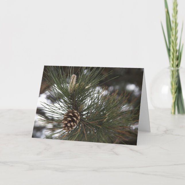 Pine cone card (Front)