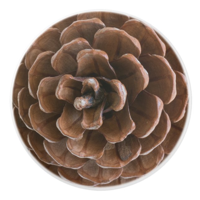 Pine cone ceramic knob (Front)