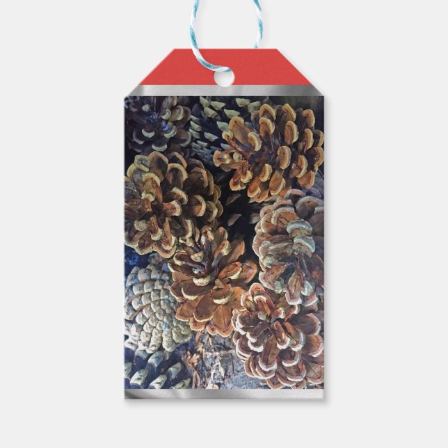 Pine cone gift tag (Front)