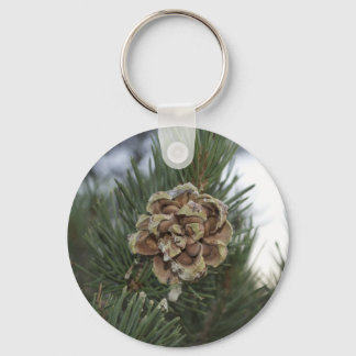 pine cone keychain