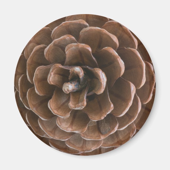 Pine cone magnet (Front)