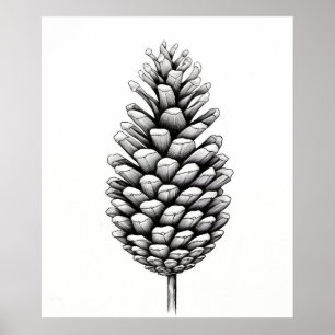 Pine Cone minimalist black drawing line art print