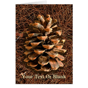 Pine Cone On Fallen Needles