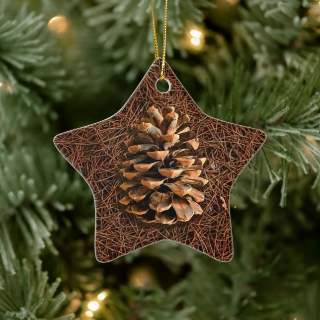 Pine Cone On Fallen Needles Ceramic Ornament (Tree)