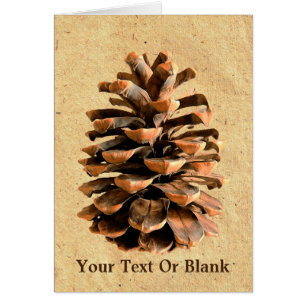 Pine Cone On Parchment