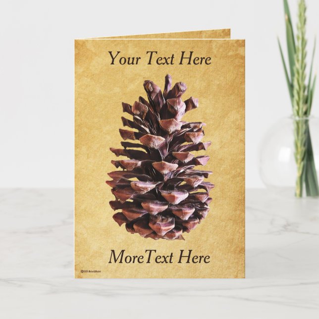 Pine Cone On Vintage Paper Card (Front)