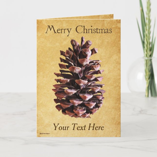 Pine Cone On Vintage Paper - Christmas Card (Front)