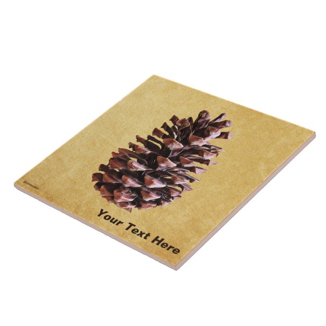 Pine Cone On Vintage Paper Tile (Side)