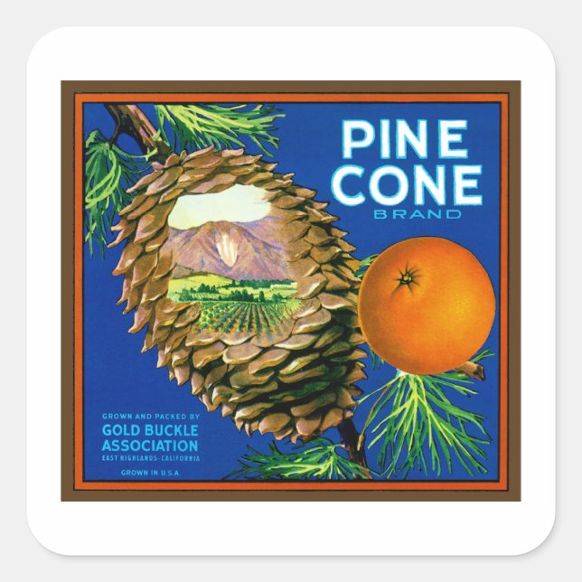 Pine Cone Oranges Square Sticker (Front)