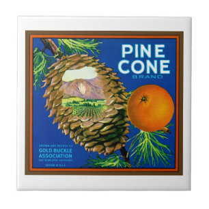 Pine Cone Oranges Tile