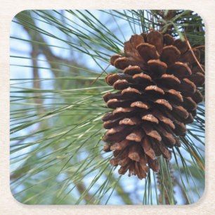 Pine Cone reusable paper Square Paper Coaster