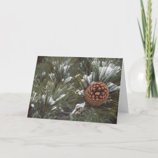 Pine Cone Rose Holiday Card