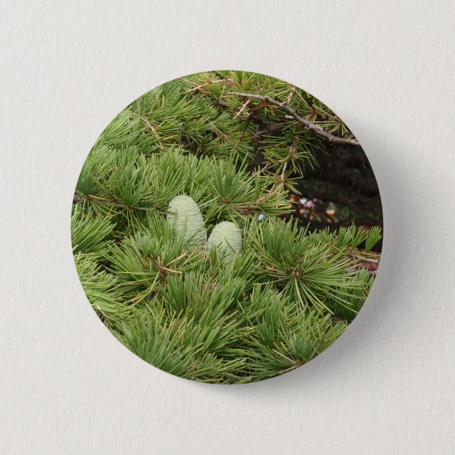 Pine Cones 2 Inch Round Button (Front)