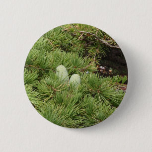 Pine Cones 2 Inch Round Button