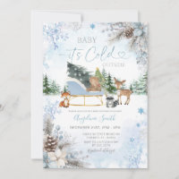 Pine cones Blue Snowflake Truck Baby Shower