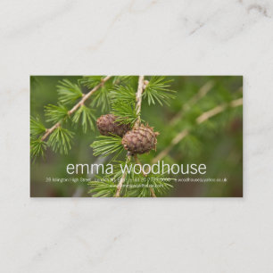 Pine Cones Business Card
