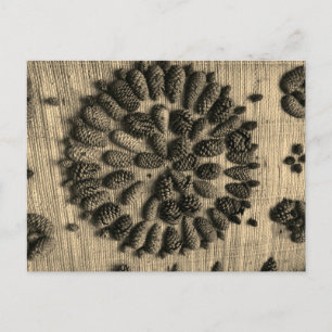 Pine Cones mandala retro photo Carte postale