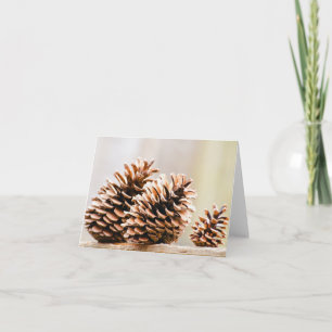Pine Cones Note Card