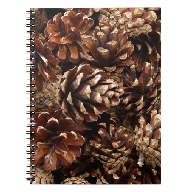 Pine Cones Notebook (Front)