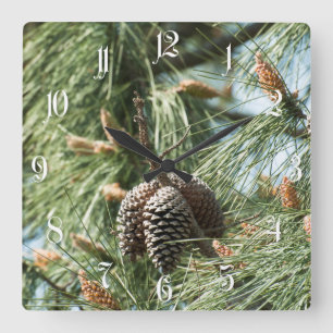 Pine cones on a tree square wall clock